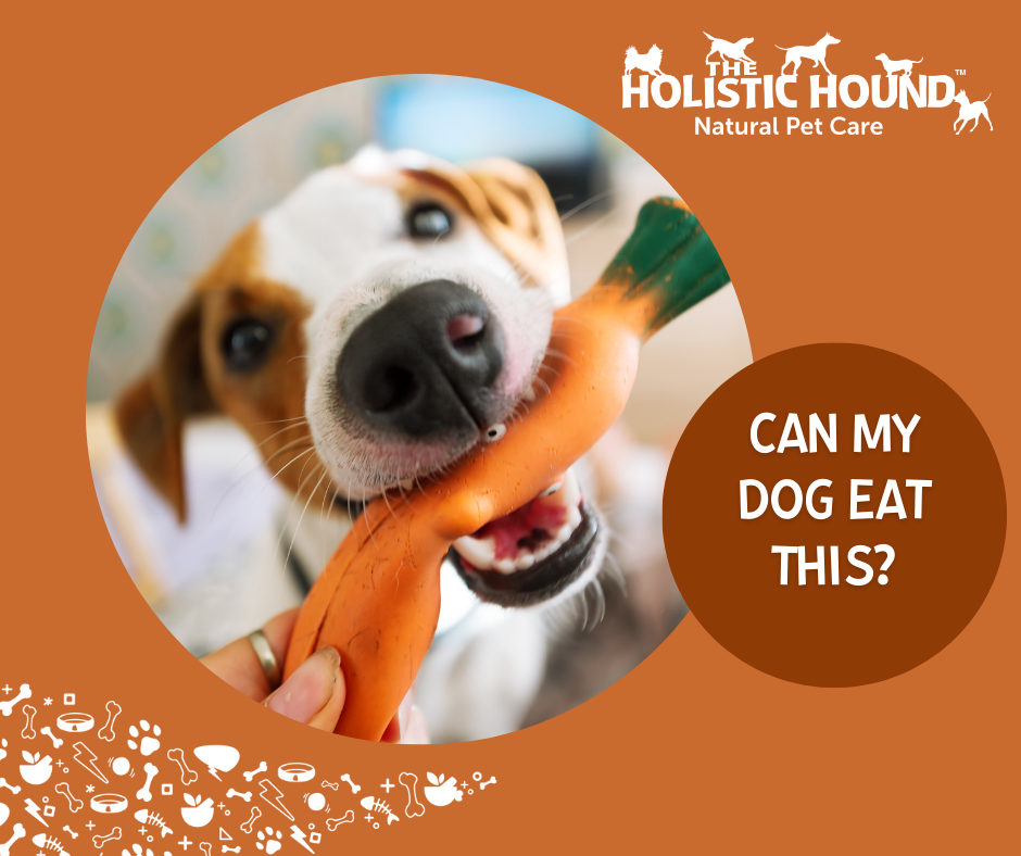 Can My Dog Eat This? - Carrots